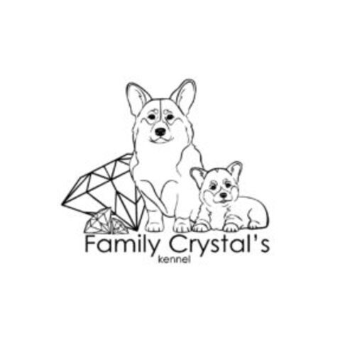 Family Crystals